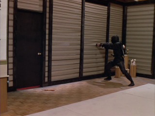 revenge of the ninja (1983)